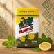 Парагвайський йерба мате з м&rsquo;ятою та лимоном Pajarito Menta Limon 16207288 фото 2